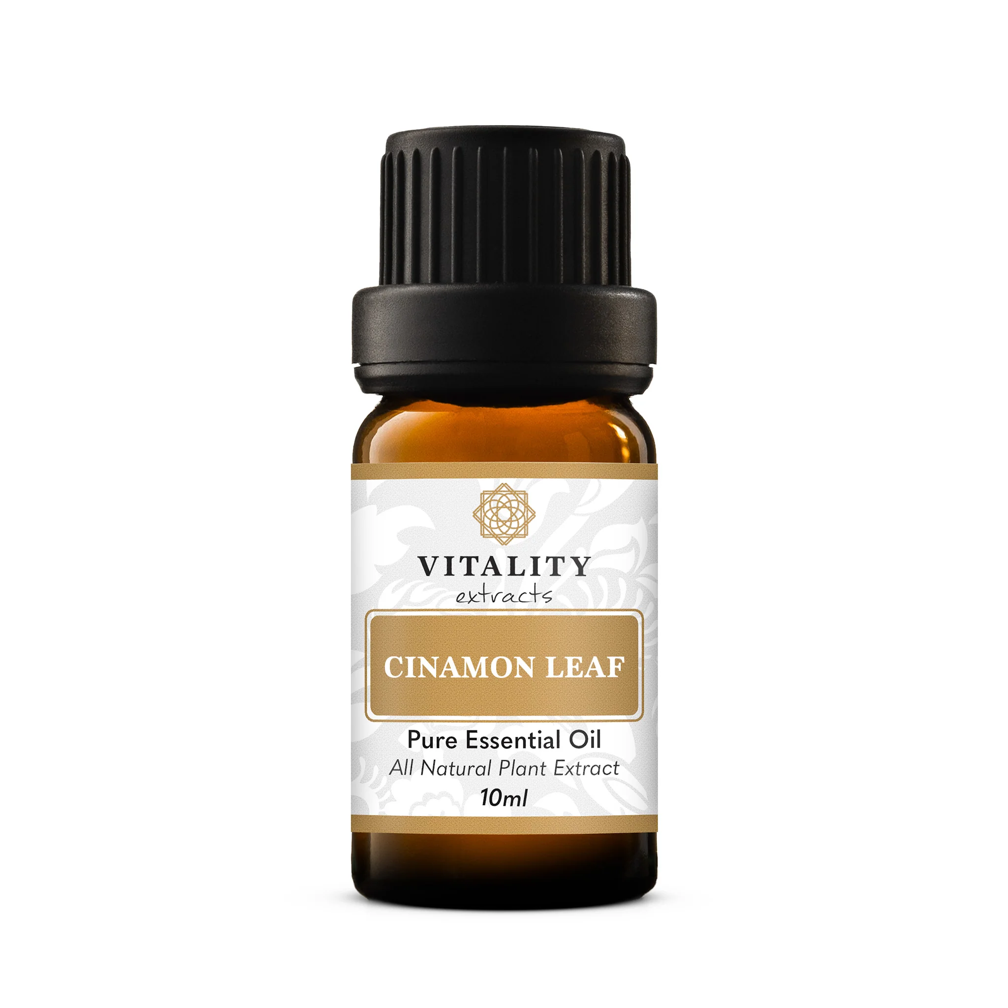 Cinnamon Leaf - Image 3
