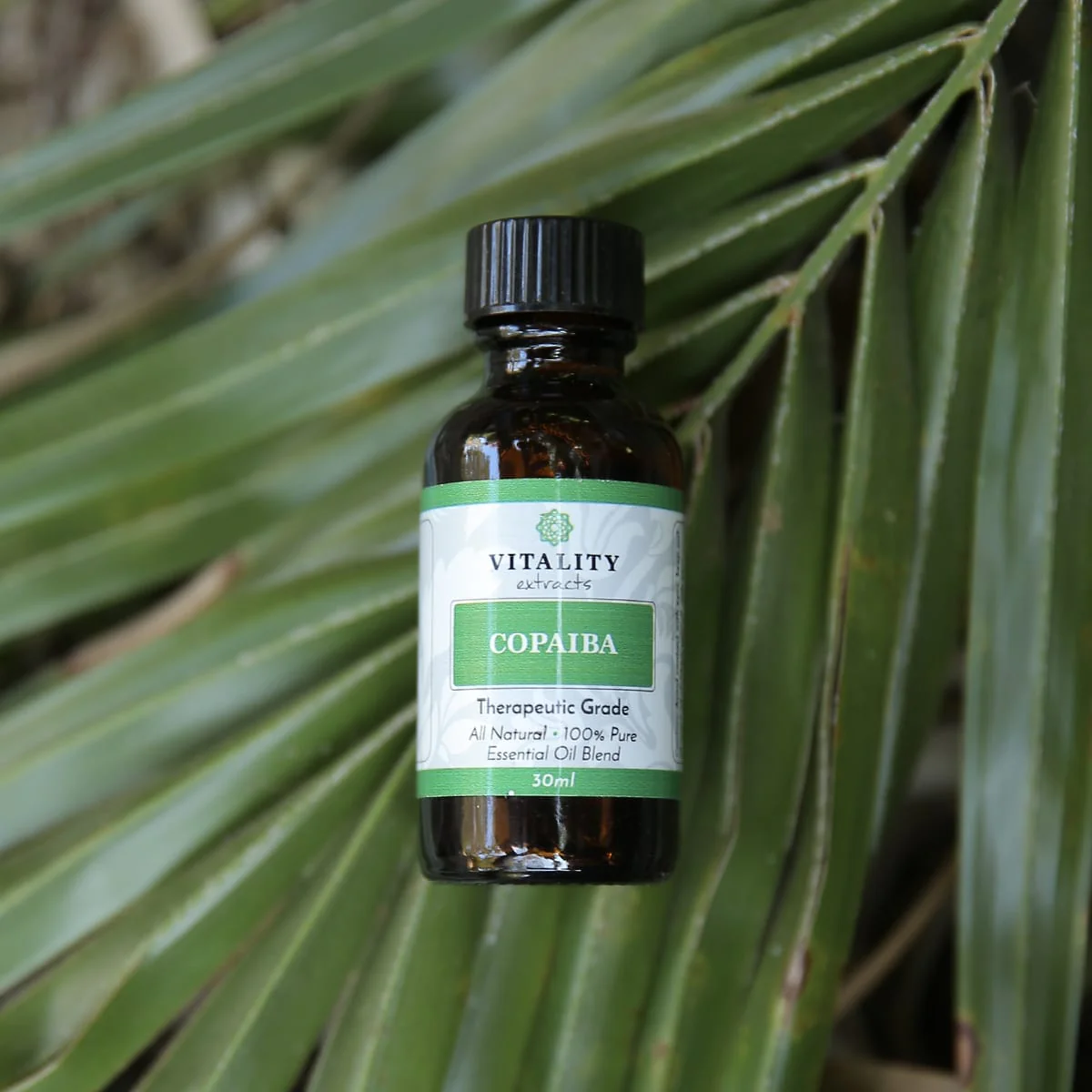 Copaiba - Image 7