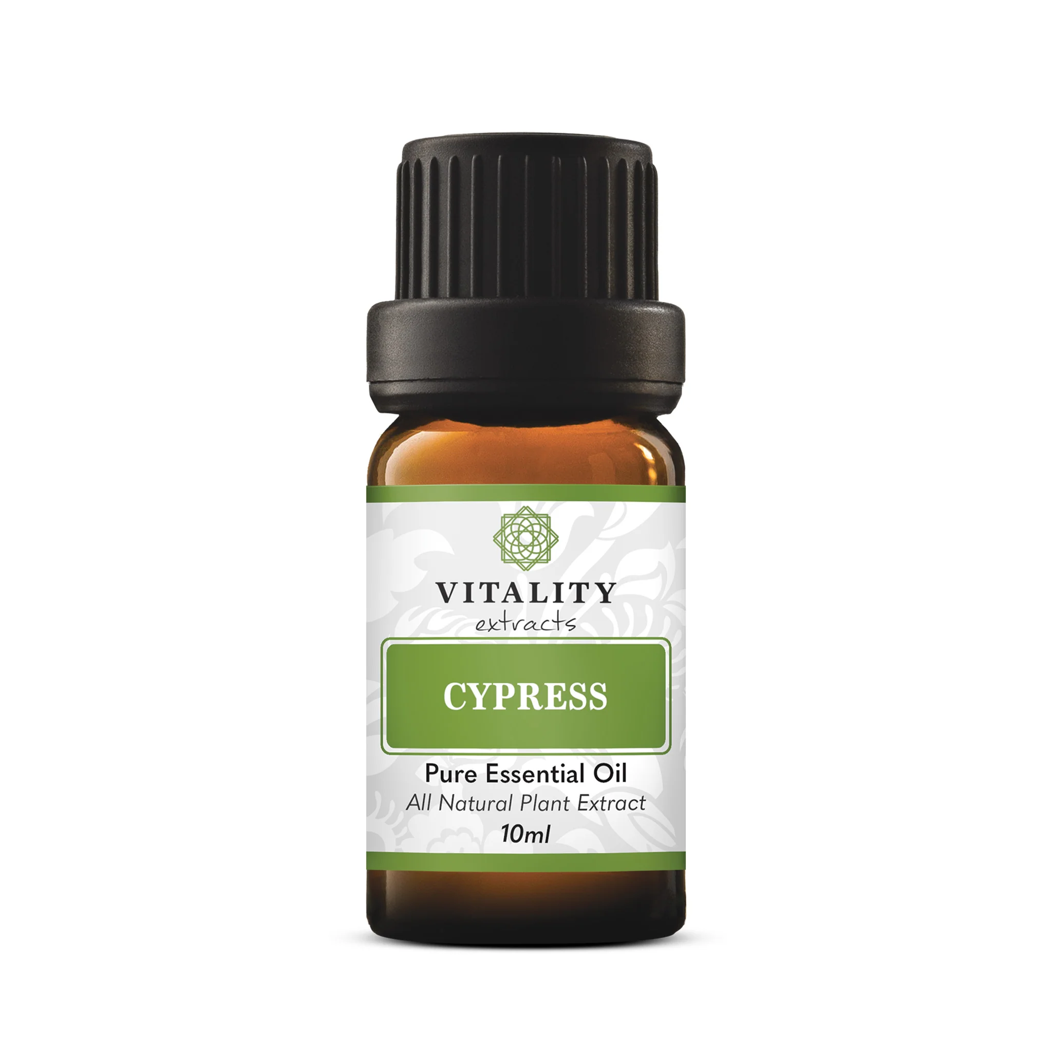 Cypress - Image 2
