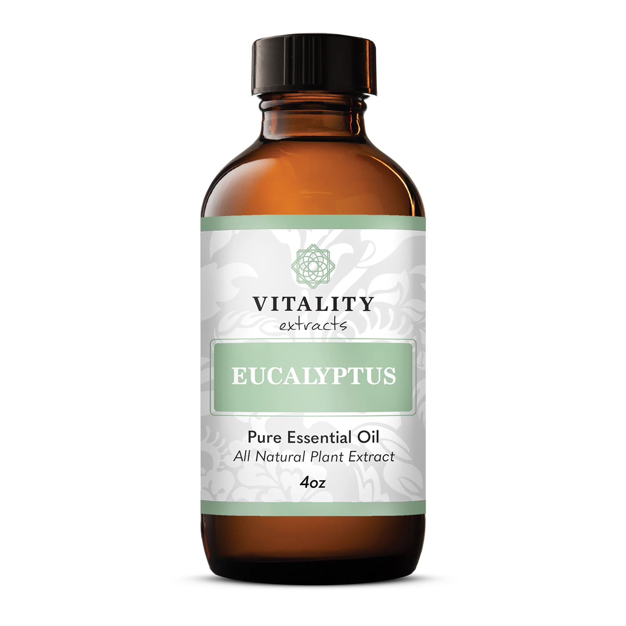 Eucalyptus - Image 12