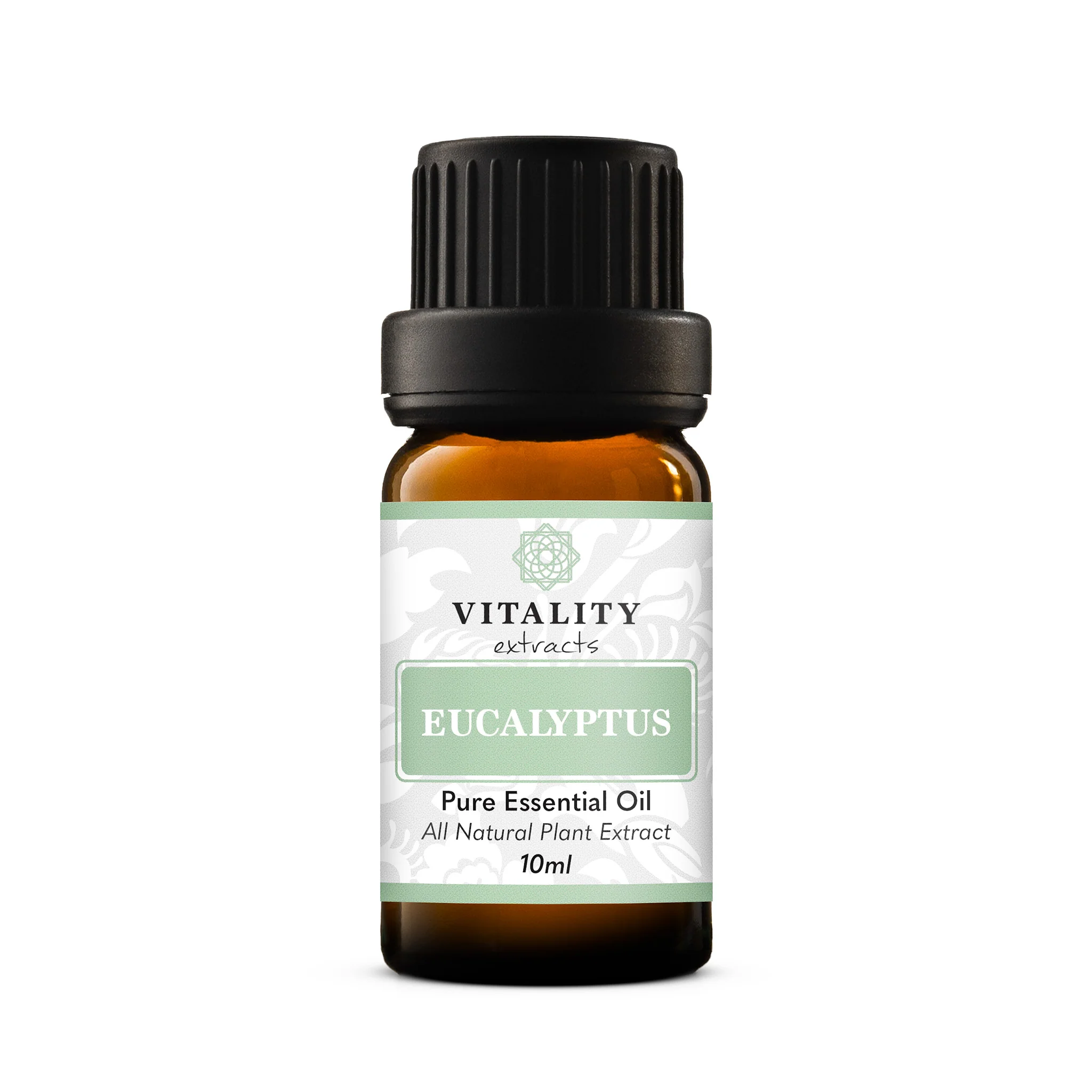 Eucalyptus - Image 9