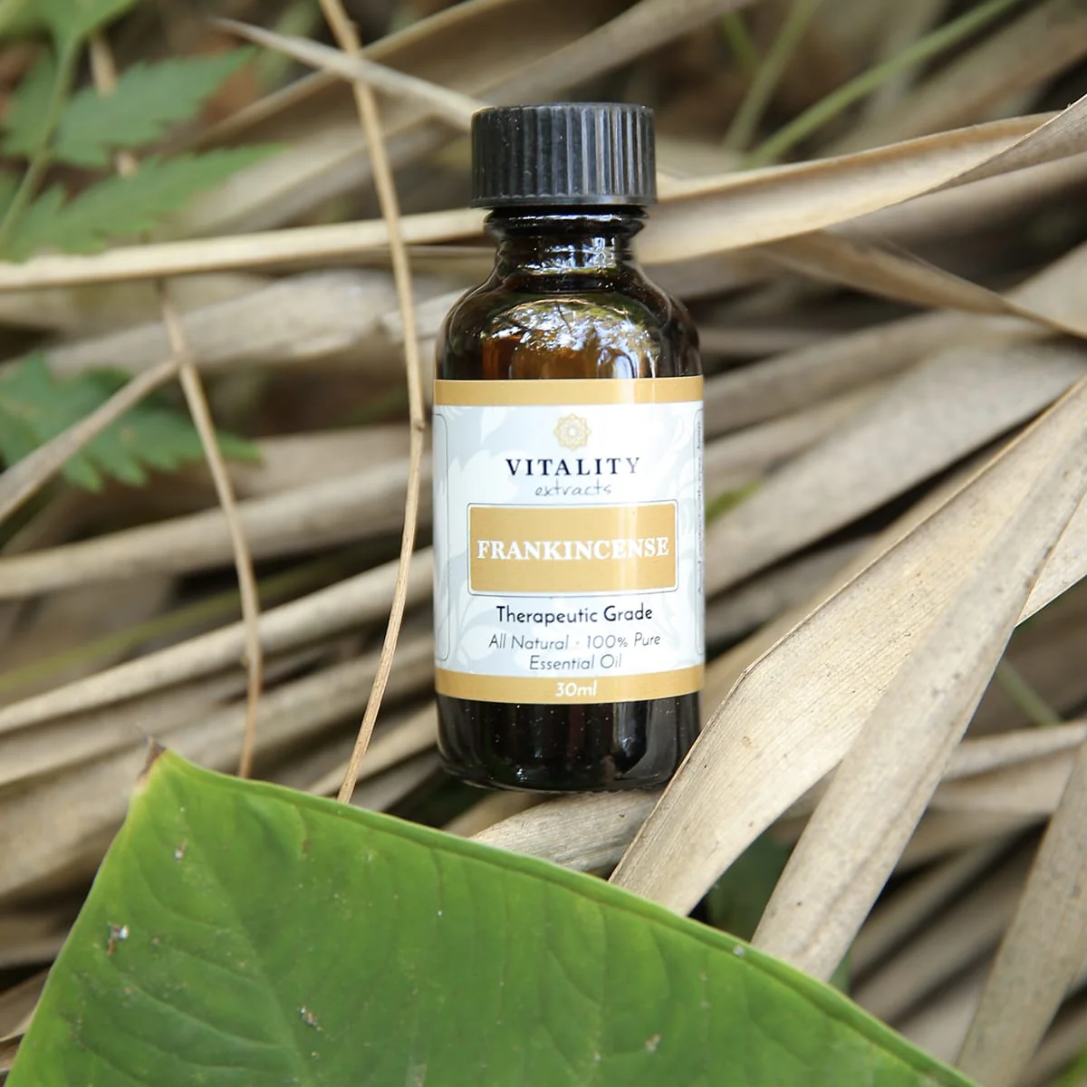 Frankincense (30mL) - Image 3