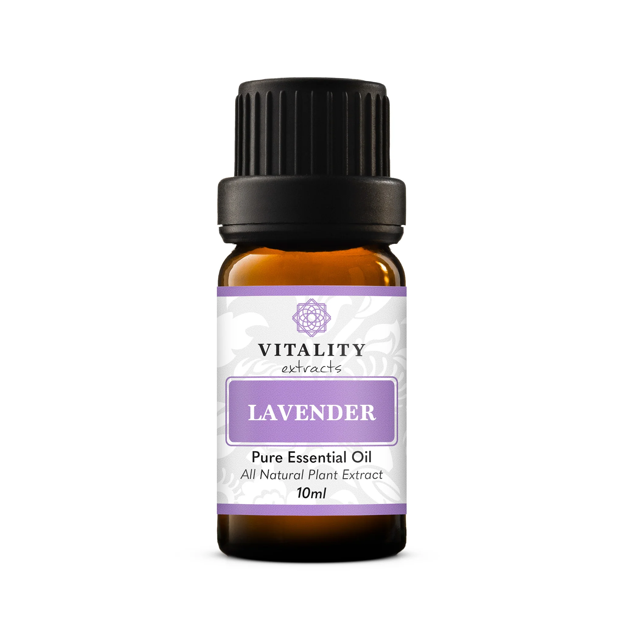 Lavender - Image 10