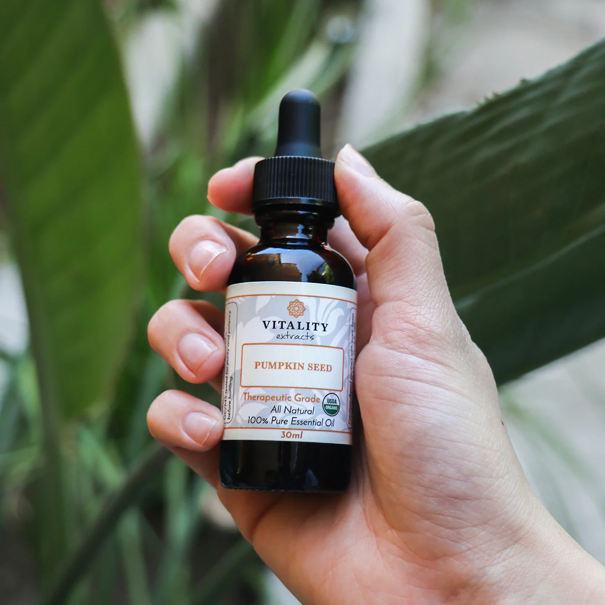 Pumpkin Seed Oil (Organic) - Image 3