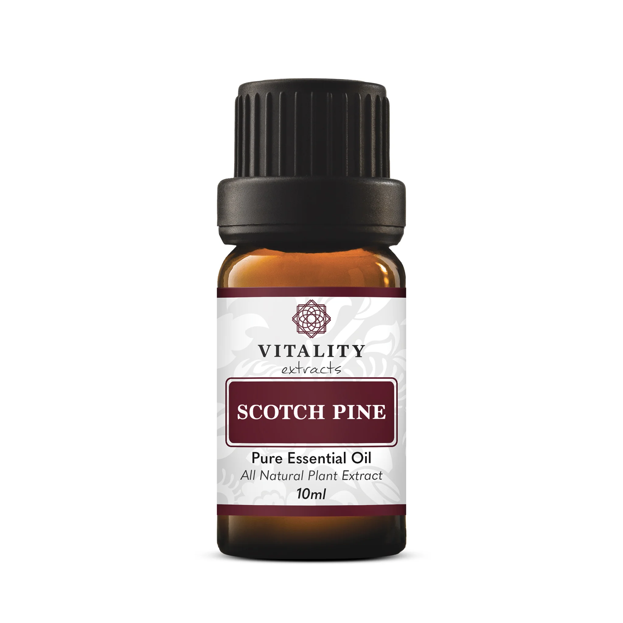 Scotch Pine - Image 2