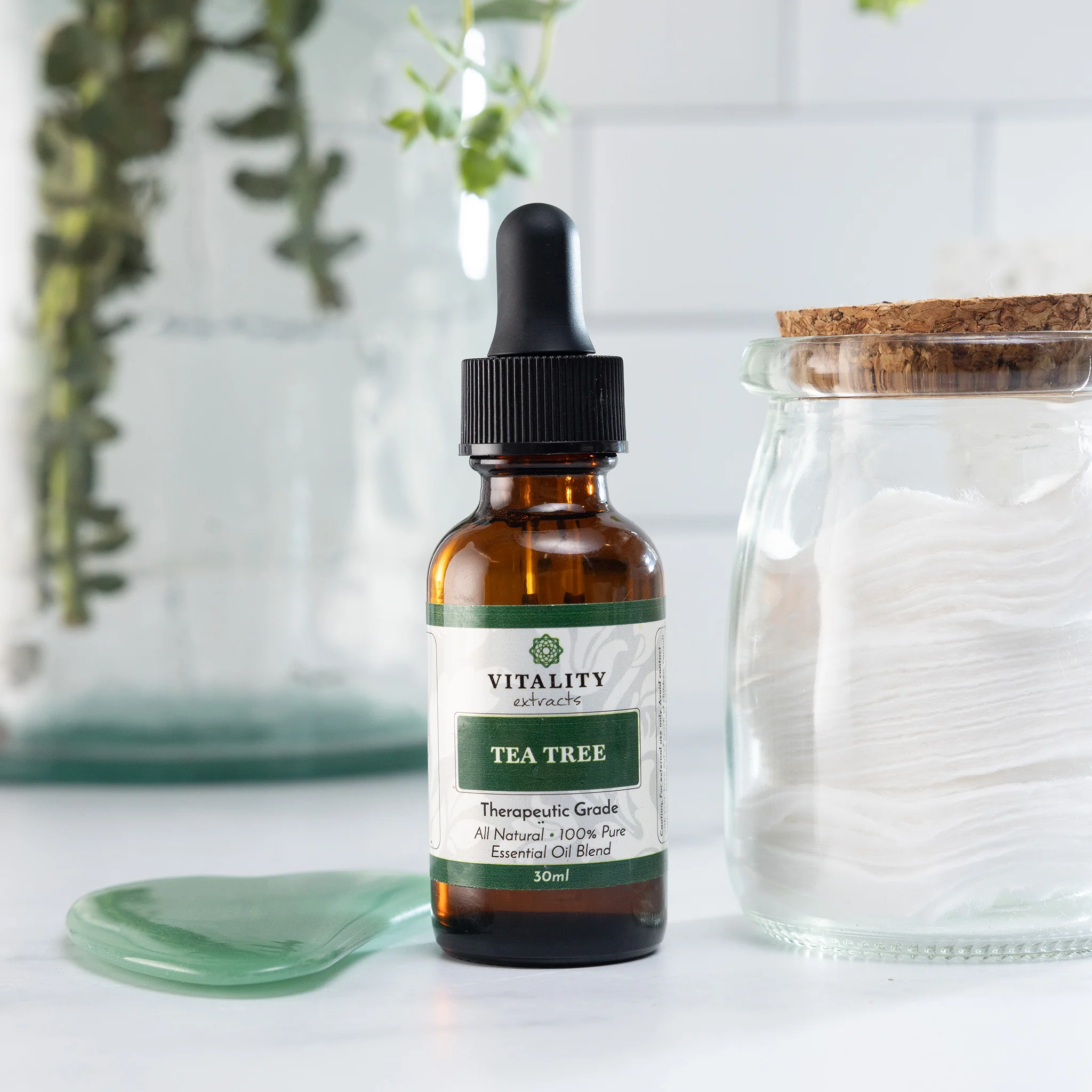 Tea Tree - Image 5