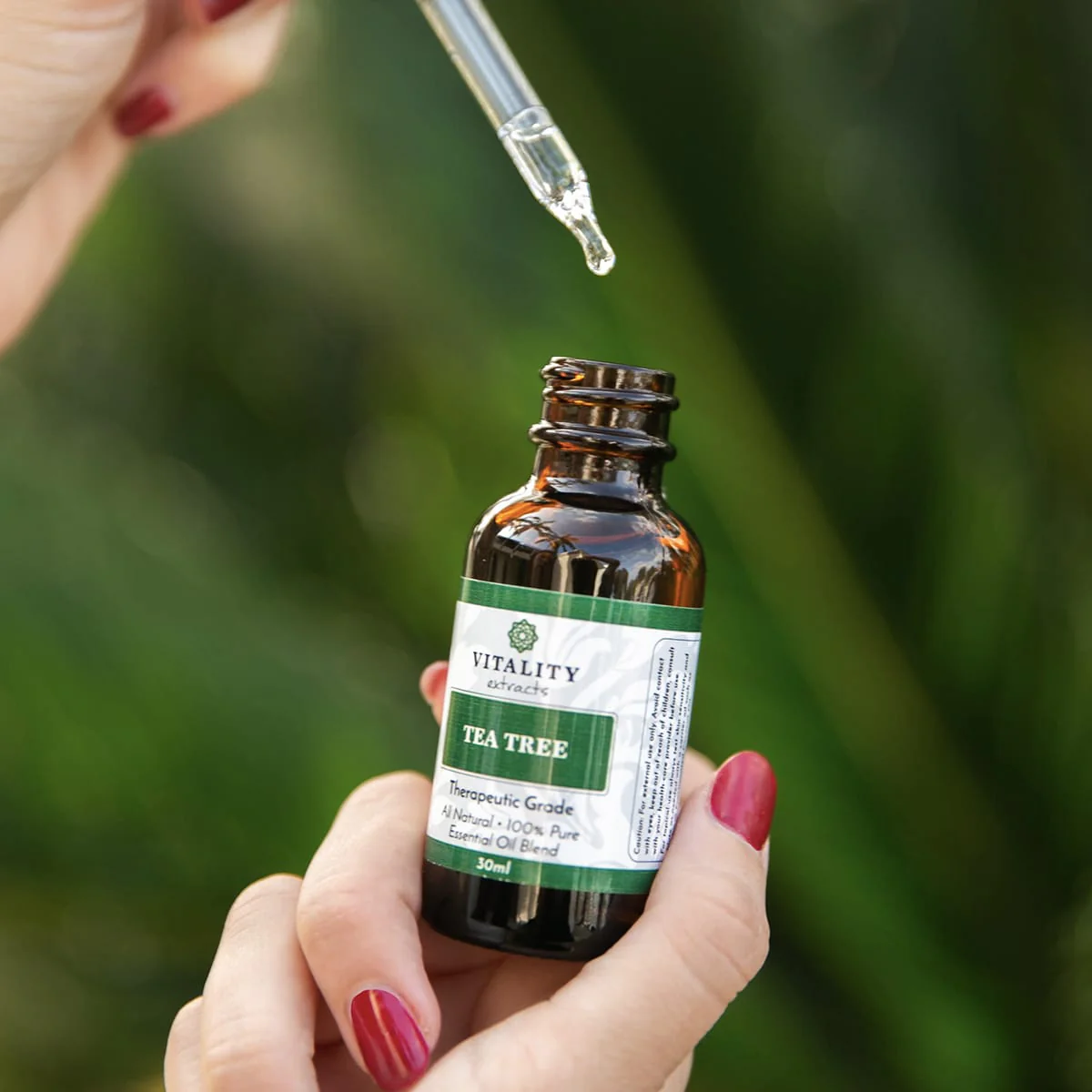 Tea Tree - Image 7